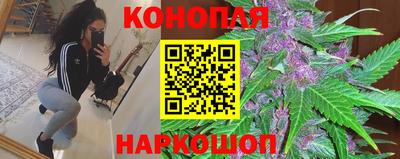 крисы Ипатово