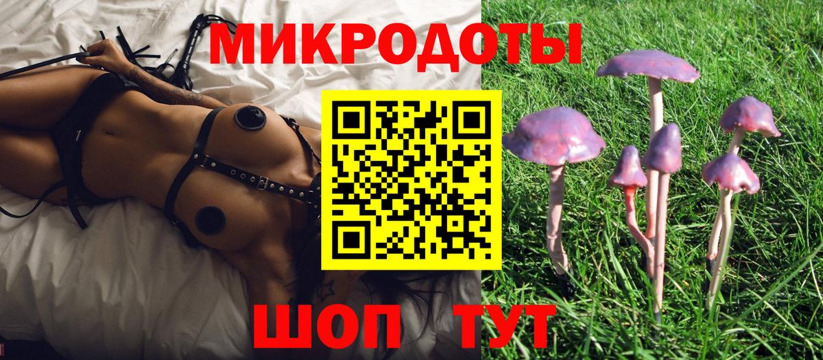 Галлюциногенные грибы Psilocybe Лесной
