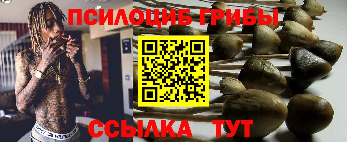 Лесной  Псилоцибиновые грибы мицелий  Вход с VPN  Псилоцибиновые грибы Psilocybe 